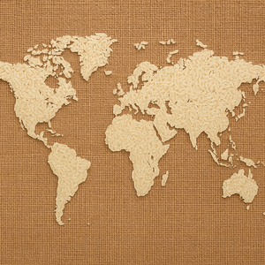 Riso nel mondo: una coltivazione globale di un chicco universale