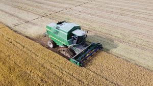 Innovazione nella produzione di riso