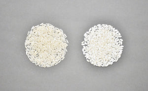 Riso o Risi? Le origini