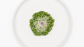 Risotto con punte tenere di ortiche