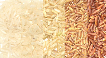 Le tipologie di chicco di riso: caratteristiche e utilizzi